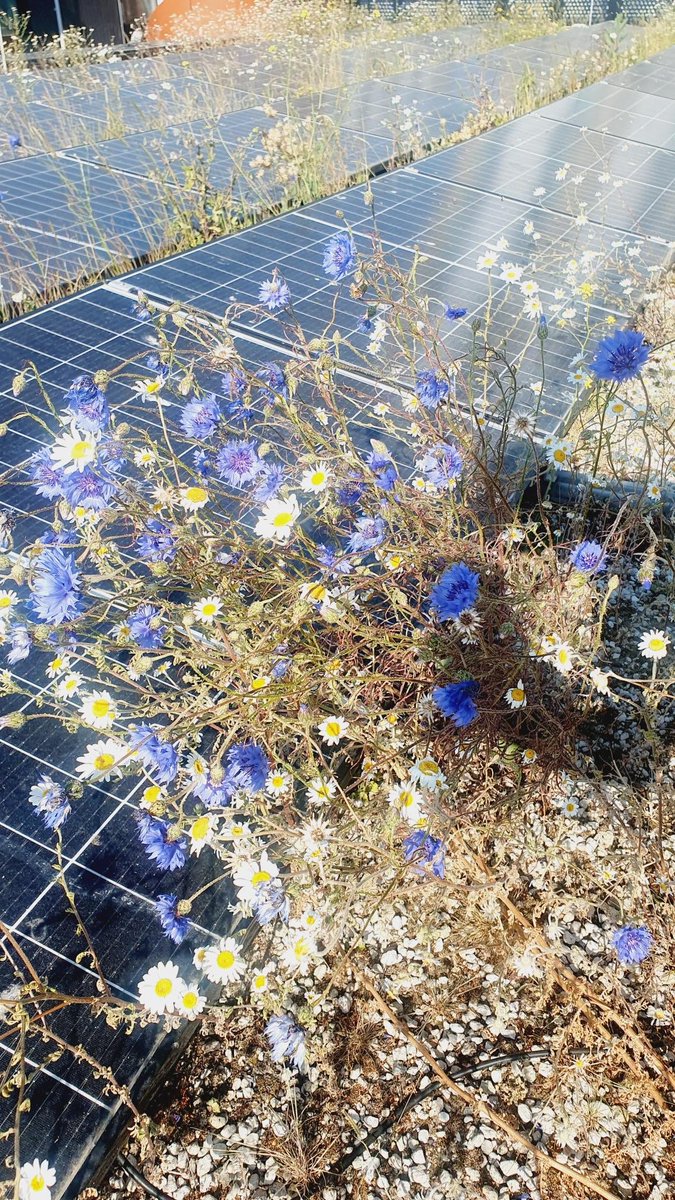 Cath James FRSA tweet media