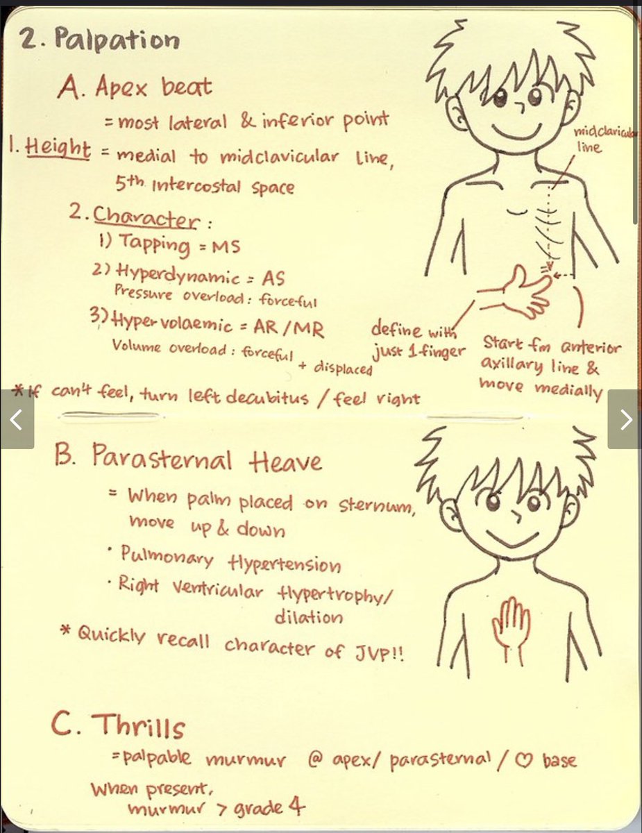 Medical_MD1's tweet photo. OSCE Review 🩺 

Great Notes on 
Cardiology Examination 🫀🤩

. https://t.co/OYPshTx8tt