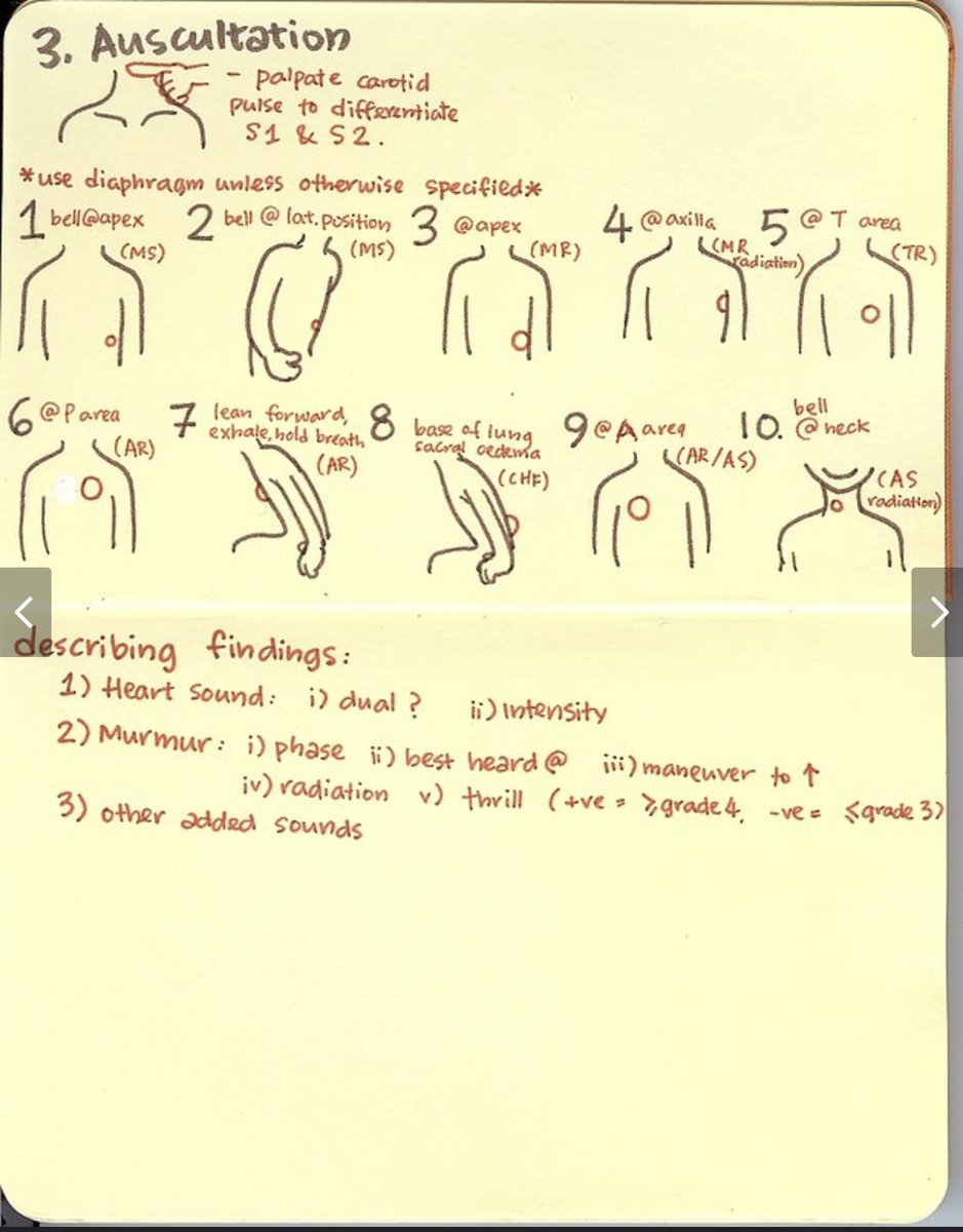 OSCE Review 🩺 

Great Notes on 
Cardiology Examination 🫀🤩

.