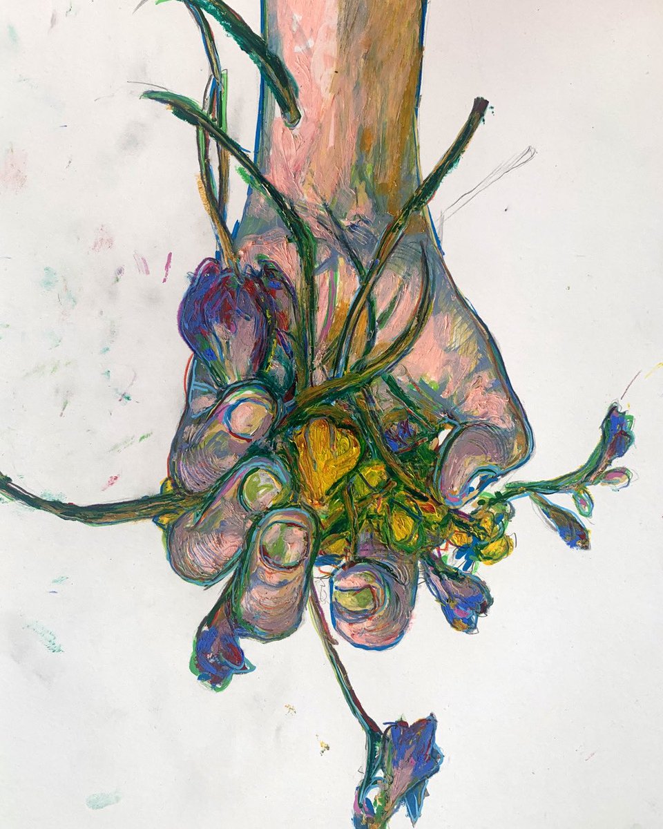 Connor Willumsen tweet media