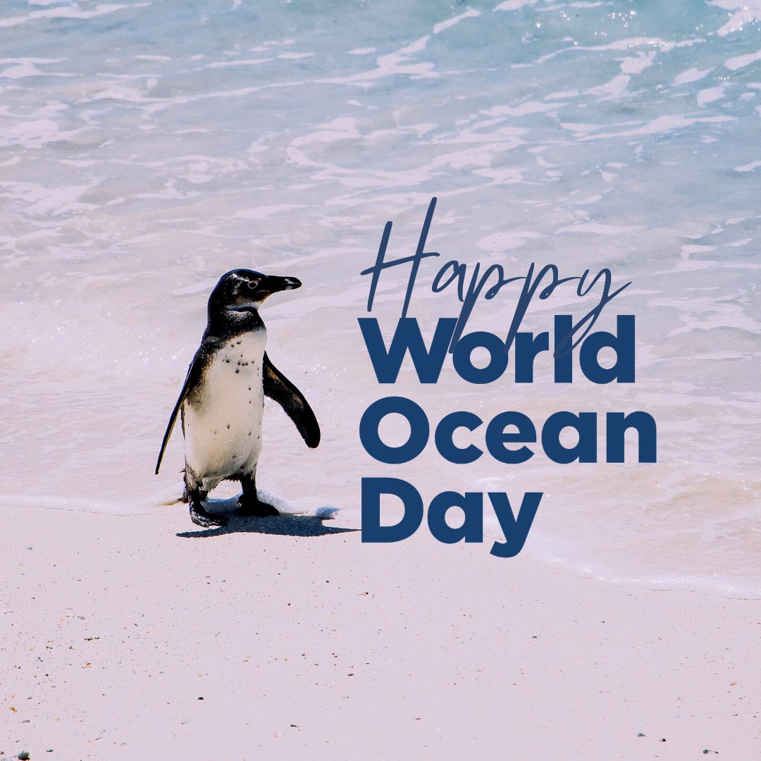 #WorldOceansDay is a day to recognize the vital role the seas play in our lives and the life of this planet. 

At THIELMANN, we are constantly finding ways to be more sustainable and care for our oceans. Learn what you can do here: worldoceanday.org

#WorldOceanDay