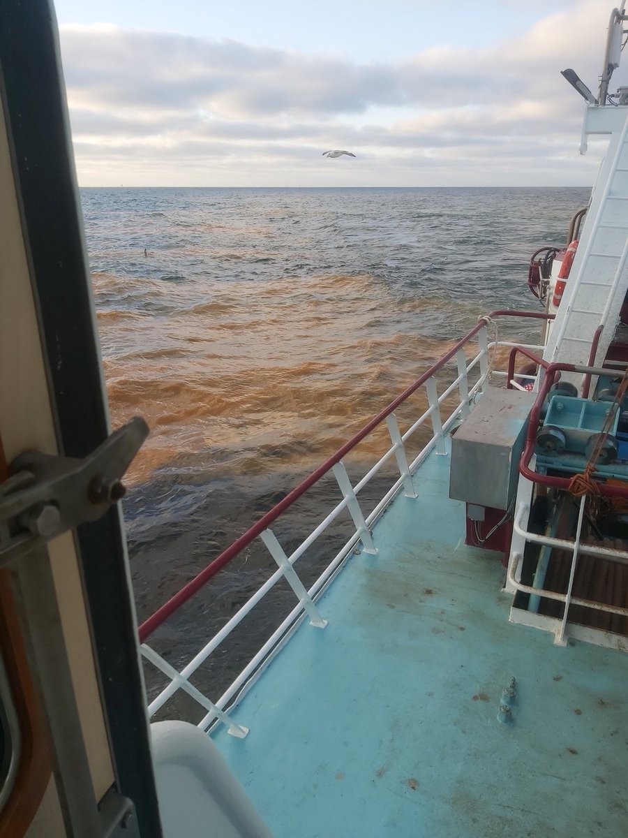 Het zee water 25 mijl uit de kust 
Op de zelfde plek en datum 
Is 3 graden kouder dan verleden jaar
Meten is weten
En er is veel rode alg op zee