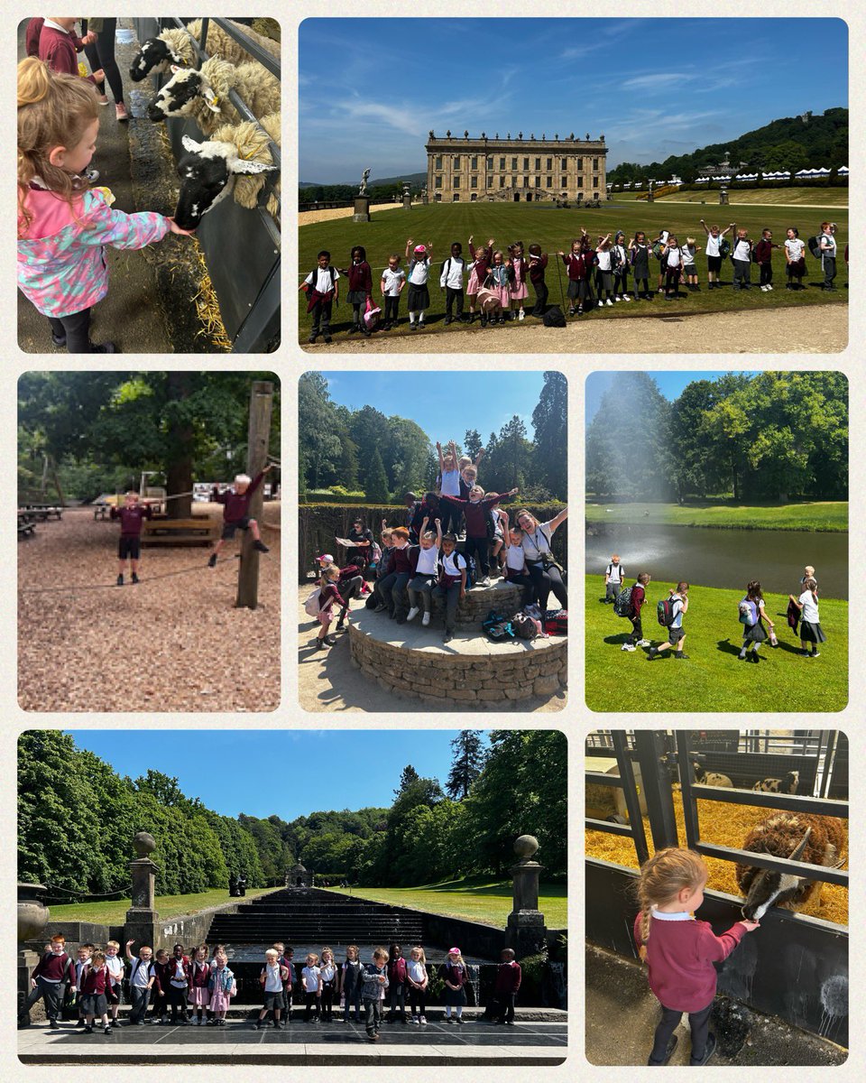 Miss Middleton (@missmiddletonhb) on Twitter photo Reception Blue had the best day ever in the sunshine <a href="/ChatsworthHouse/">Chatsworth</a>. We loved feeding the animals and even made it to the middle of the maze!! <a href="/HartleyBrookPri/">Hartley Brook Academy</a> <a href="/hb_misssimpson/">Miss Simpson HB</a> <a href="/MissEmsonHB/">Miss Emson</a> #weareastrea #EYFS Reception Blue had the best day ever in the sunshine <a href="/ChatsworthHouse/">Chatsworth</a>. We loved feeding the animals and even made it to the middle of the maze!! <a href="/HartleyBrookPri/">Hartley Brook Academy</a> <a href="/hb_misssimpson/">Miss Simpson HB</a> <a href="/MissEmsonHB/">Miss Emson</a> #weareastrea #EYFS