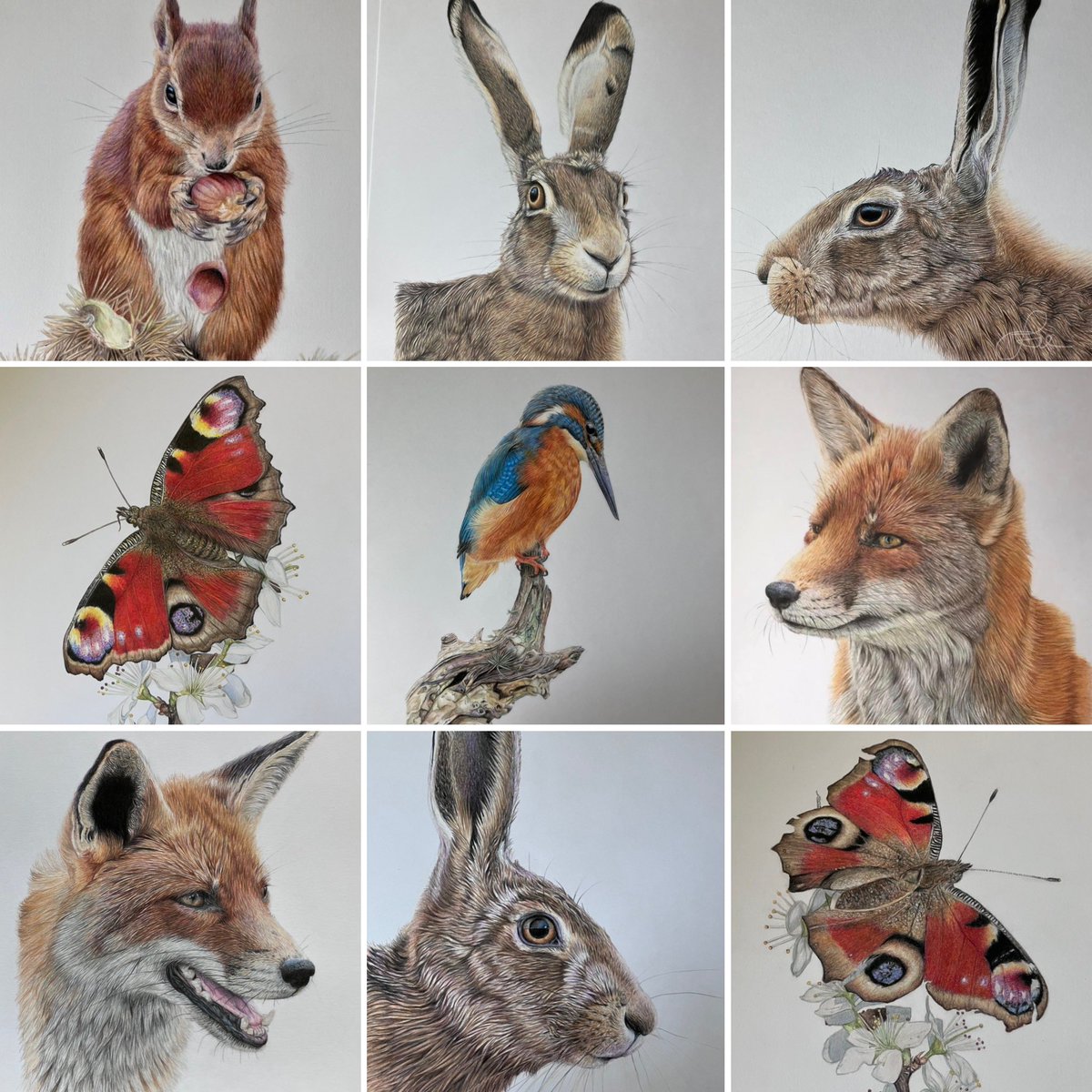 Some of the wildlife drawings that have gone off to new homes in the past few months - both here and abroad. Thank you to my lovely customers - and Twitter supporters. #art #drawing #wildlife