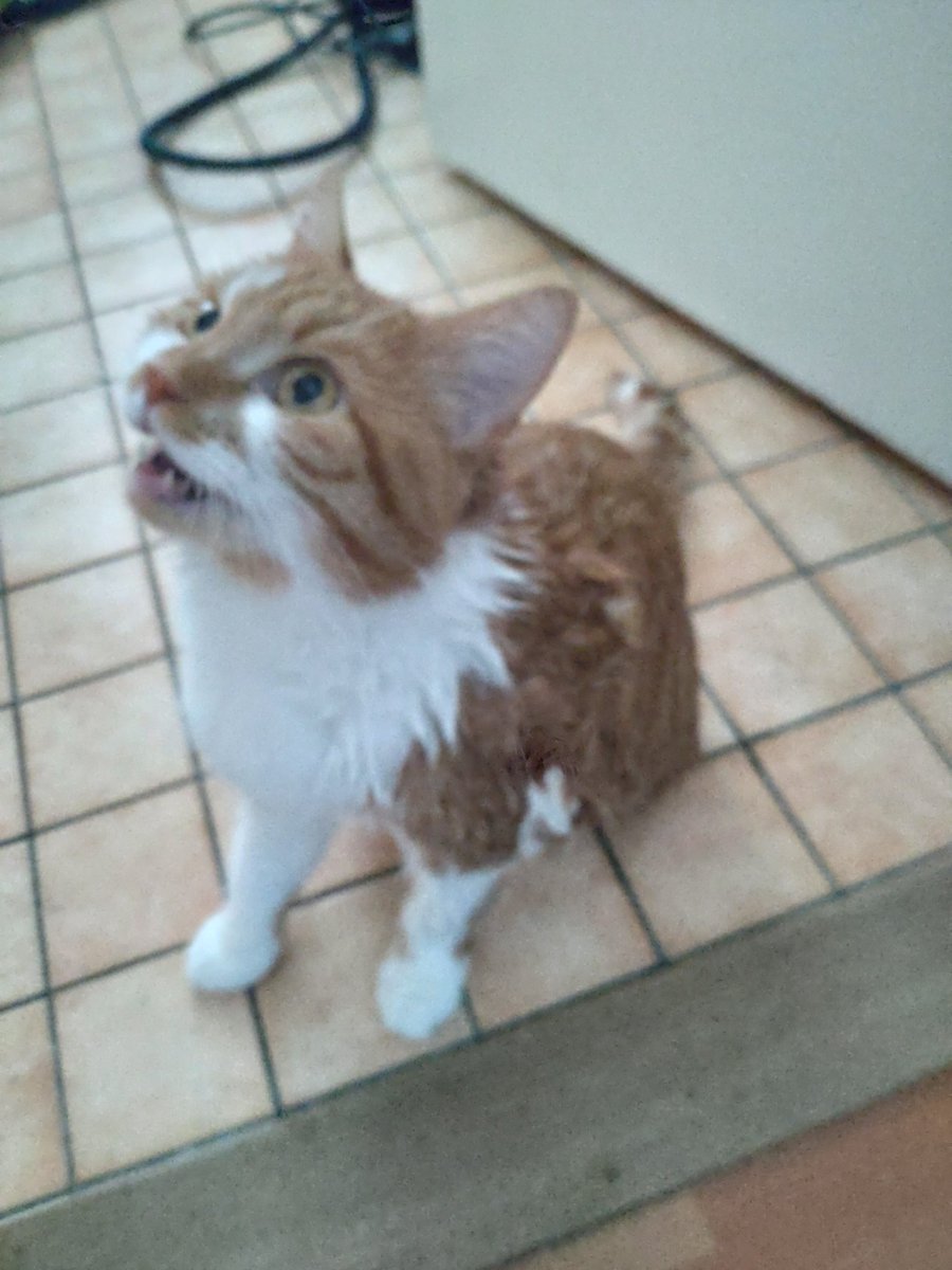 i did NOT like getting sogged