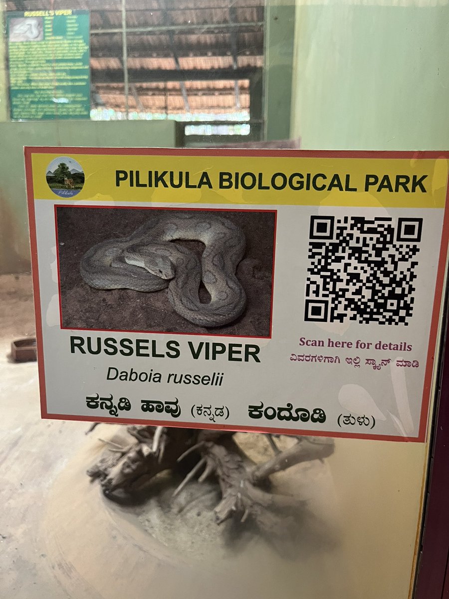 Lively Mangalorean 🇮🇳 on Twitter "Different type of snakes and it’s