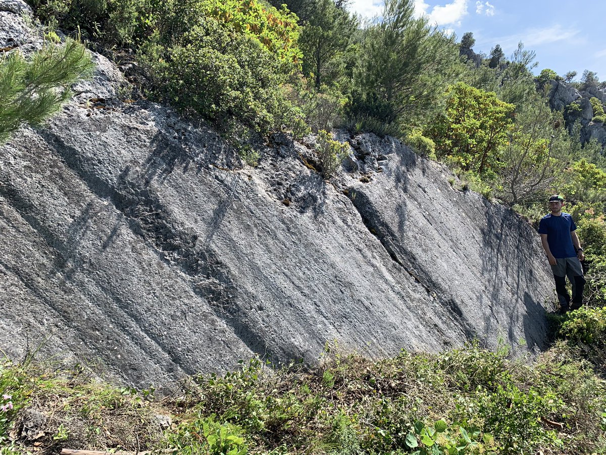 Sam Mitchell tweet media