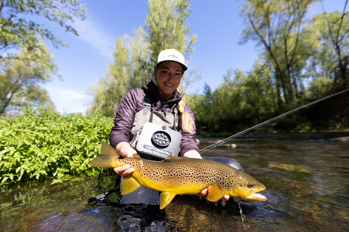 This fish certainly kept me on my toes, last morning, last pool, last chance. 🙏🏼 Read the full article -> adh-fishing.com/adh-world/expe… #flyfishing #adhworld #fishing #euronymphing #learntoflyfish #northernfishingschool