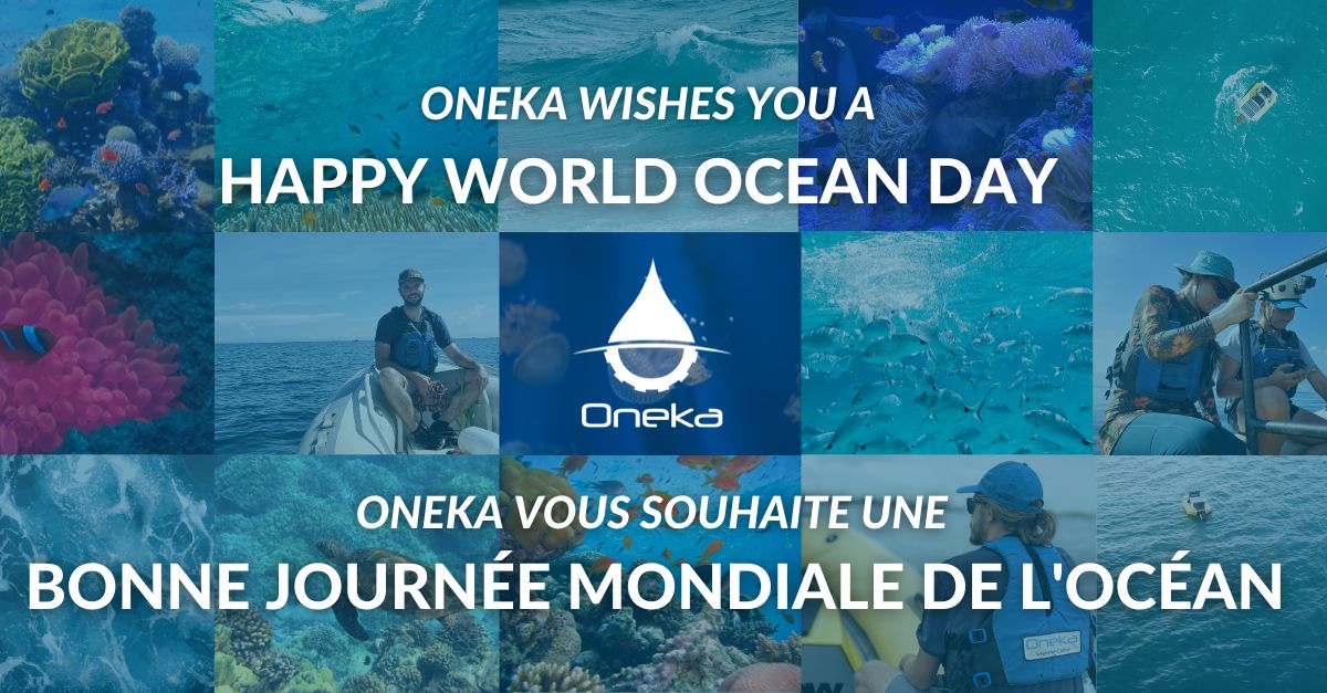 OnekaWater's tweet image. On World Ocean Day, Oneka celebrates the beauty and importance of our precious marine ecosystems.

Together, we have the power to make a positive difference for our oceans.