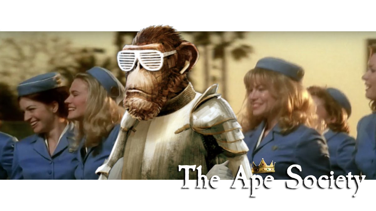 Amans_Best's tweet photo. @Debalboa_TAS @the_ape_society Why thank you. Damas is enjoying the attention. He's shy like that. https://t.co/E65yNl7xrA