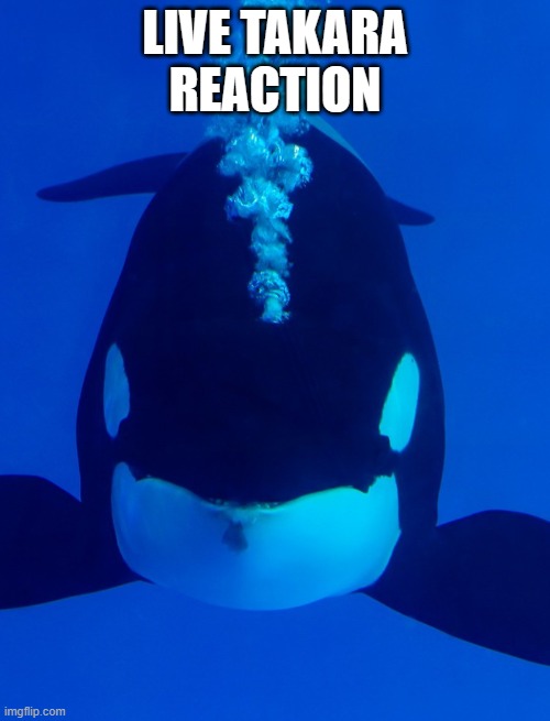 Cetacean Tweet:

Have this meme.

Photo source: SeaWorld San Antonio's Instagram