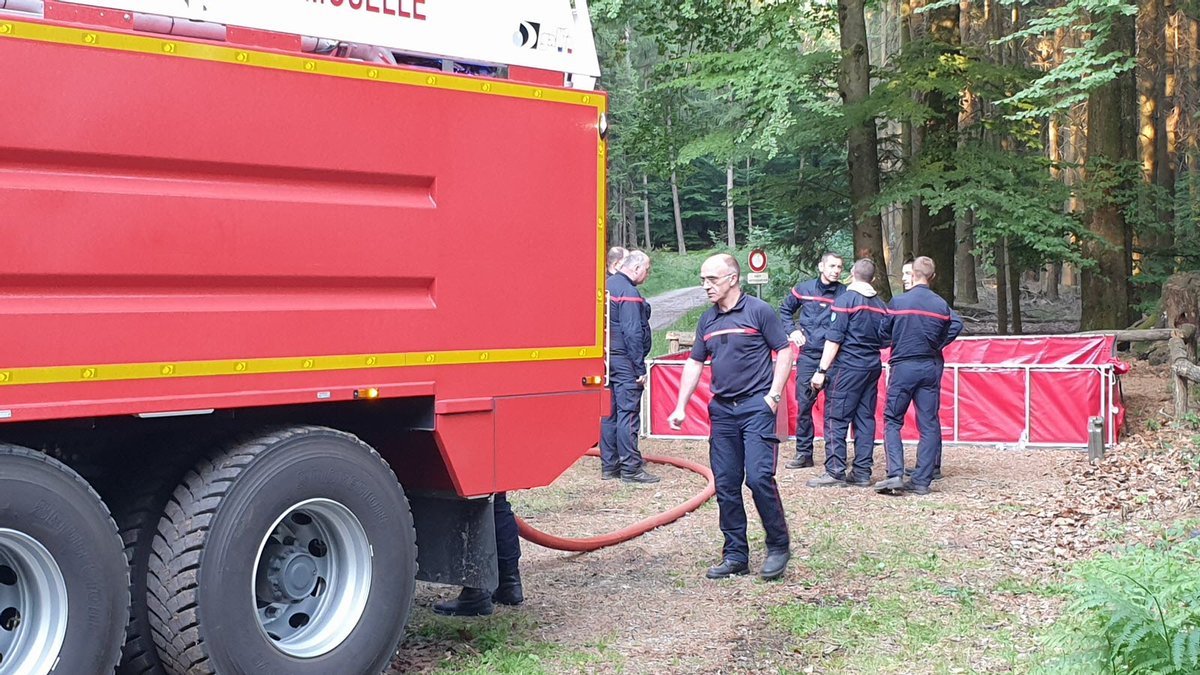 Niederbronn-les-Bains (67) : un pyromane interpellé après avoir été à l'origine de 5 départs de feu en forêt ; il s'agit d'un migrant syrien de 33 ans
fdesouche.com/2023/06/08/nie…