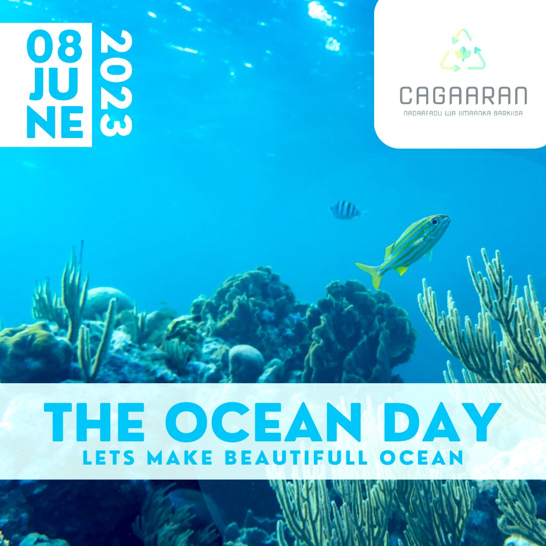 The ocean is a big, mysterious place that takes up more than 70% of the surface of our world. It is home to millions of plant and animal species, many of which haven't been identified by humans yet. 1/4

#OceanClimateAction #OceanAction #Somalia #Mogadishu #Somalia #Marka