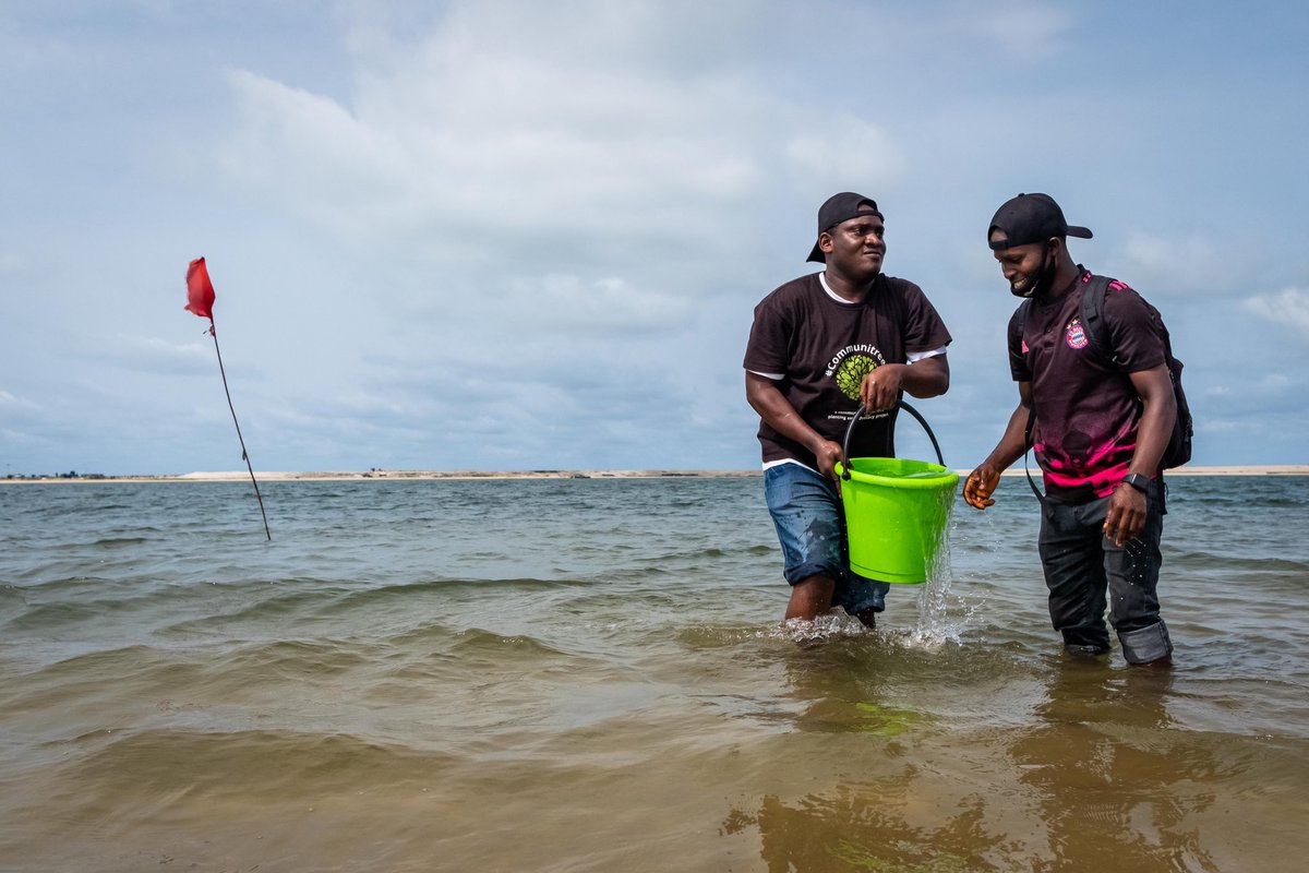 SustyVibes's tweet image. Throwback to our #Communitrees tree planting at Oniru Beach in 2021. 

Through #Communitrees, we unite community members through planting trees and also raise awareness about climate action.

Tag who you see!👀
📸 @kabenny_ 

#SustyVibes #ThrowbackThursday #nigeriafornature