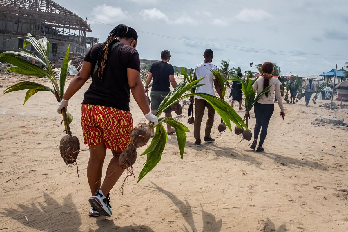SustyVibes's tweet image. Throwback to our #Communitrees tree planting at Oniru Beach in 2021. 

Through #Communitrees, we unite community members through planting trees and also raise awareness about climate action.

Tag who you see!👀
📸 @kabenny_ 

#SustyVibes #ThrowbackThursday #nigeriafornature