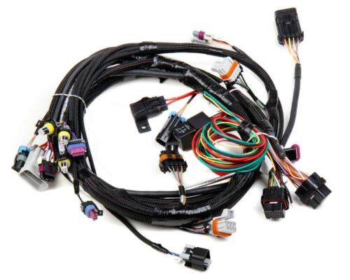 ControlsFuel's tweet photo. ad eBay - HOLLEY 558-102 Main Wiring Harness LS1 &amp; LS6 https://t.co/CvzTiJsljv https://t.co/KPa3eYyGwO