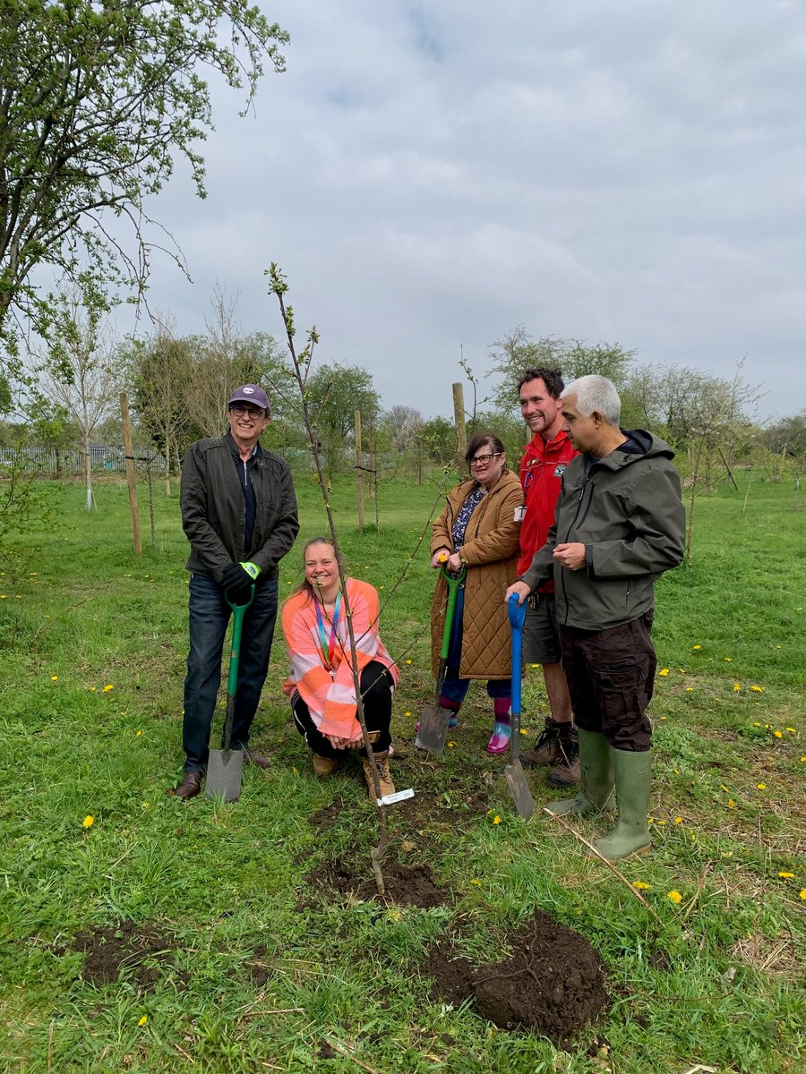 Saffron Acres tweet media