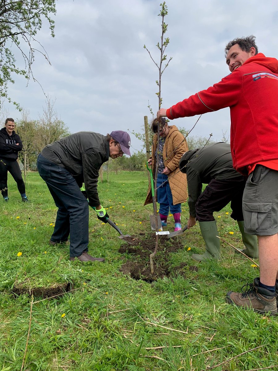 Saffron Acres tweet media