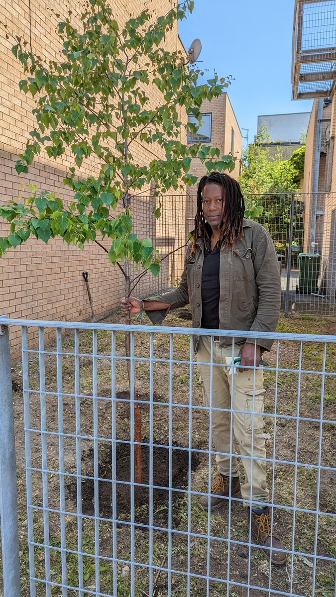 Our first planting day for our Front Garden Free Planting project. Here's Phil with a Silver Birch planted on Peregrine Street today #togetherforourplanet #urbangreening