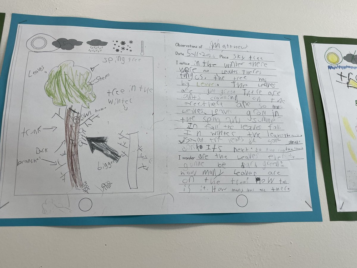 Nothing makes me happier than seeing student science writing hanging in the hallways. <a href="/FHLearn/">Firsthand Learning</a>