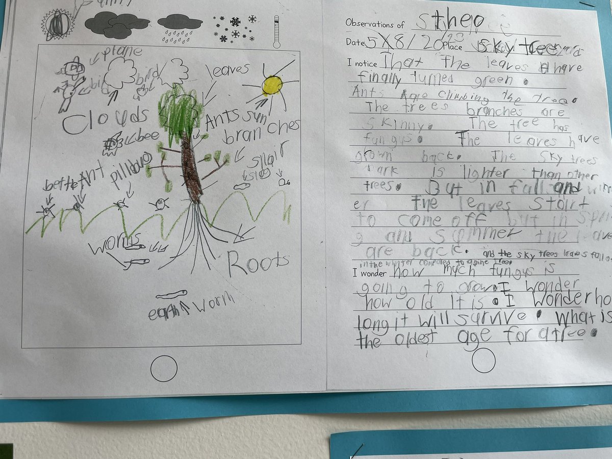 Susan Erickson tweet media