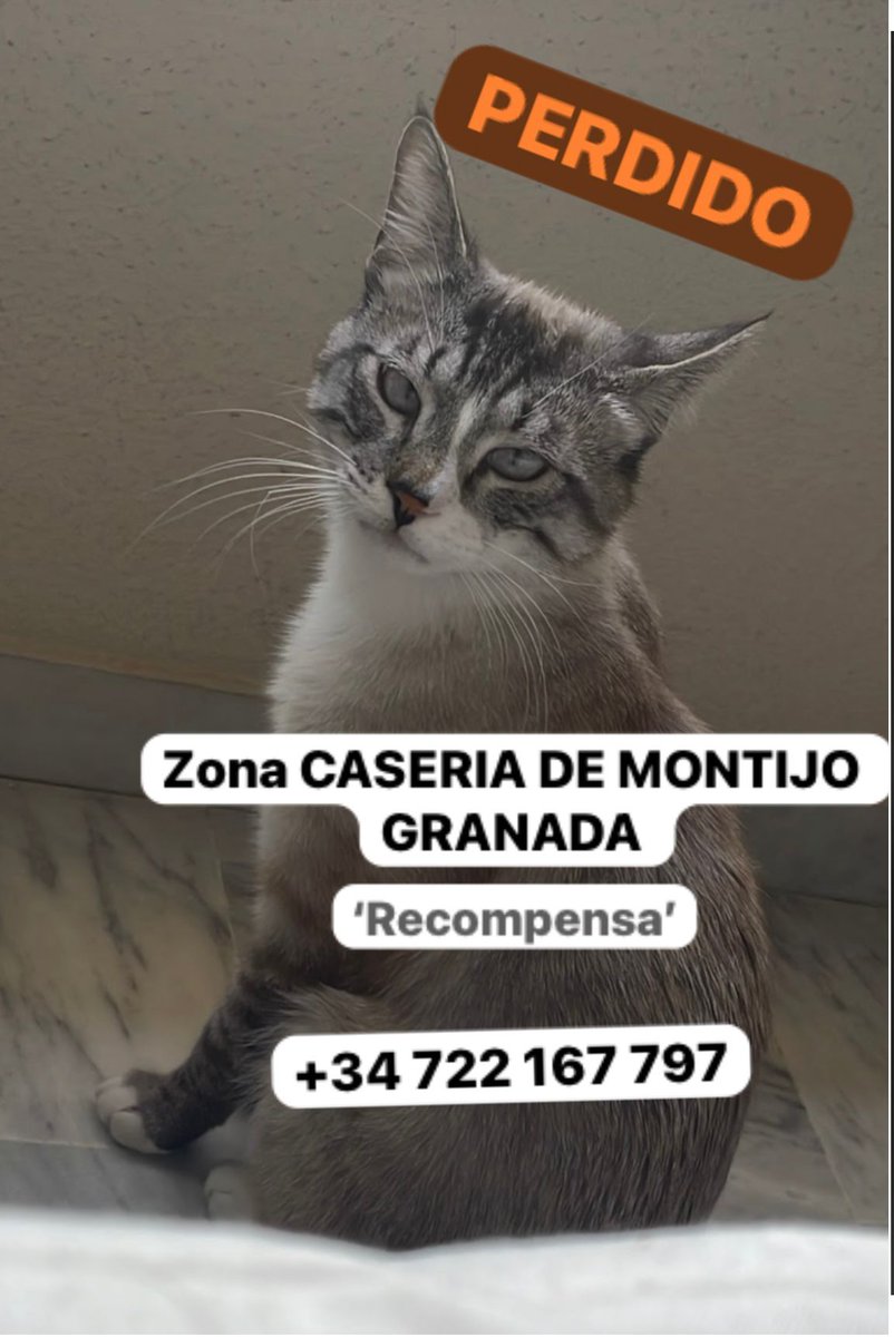 Asociación X Los Animales tweet media