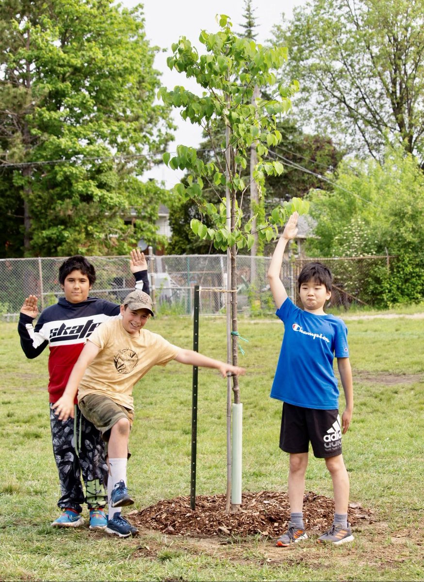 StAlexDragons's tweet photo. @rhondadagostino Gr 5/6 Ss from @npsc_schools had a great learning experience thx to #cleangreenbeautifulnorthbay #stalexander school yard looks great. #STAdragons #houseofdragons #npscdsb @CatholicEdu https://t.co/gIo00EEmhe