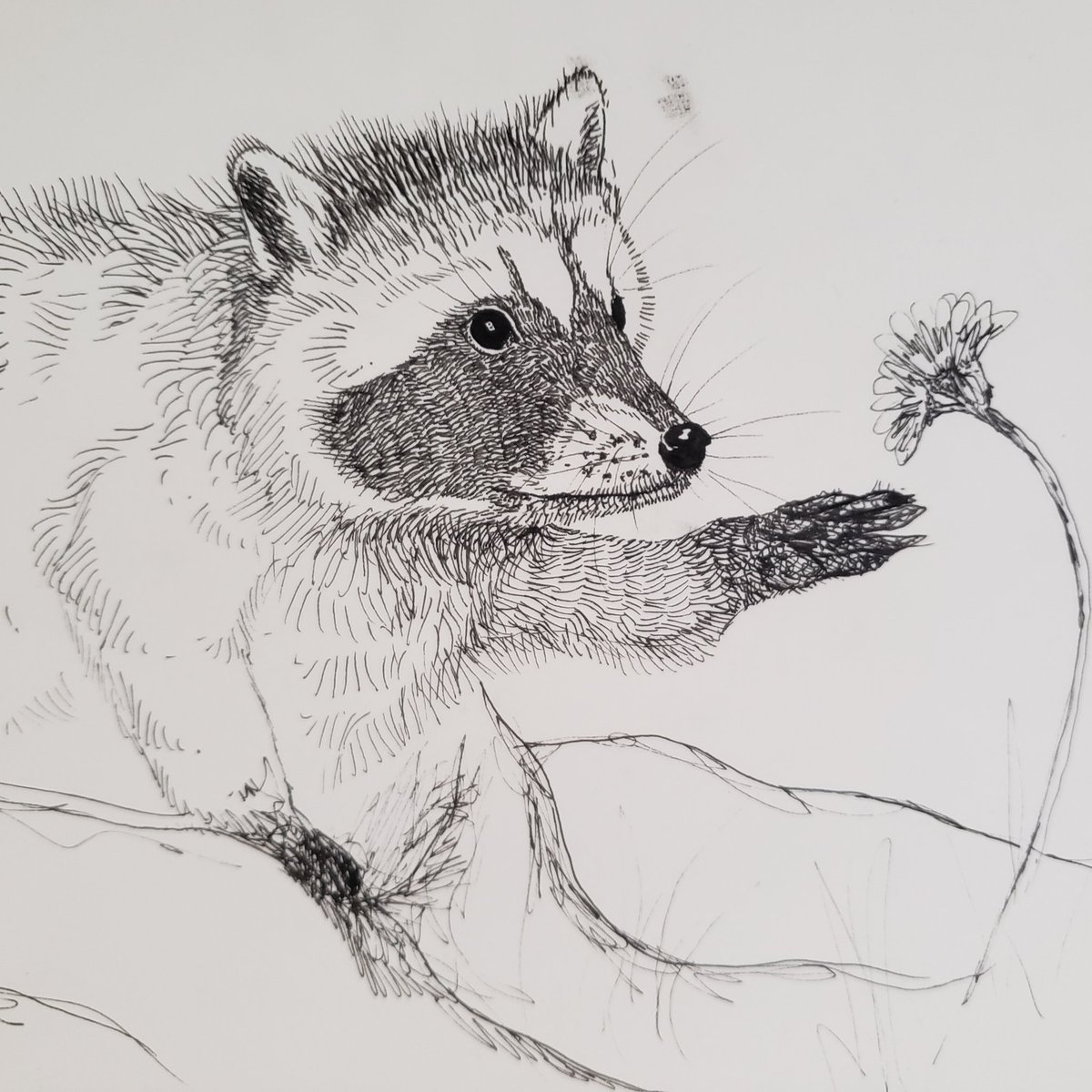 Raccoon Day, #nftdrawing #nftart #nftcollector #nftwomen