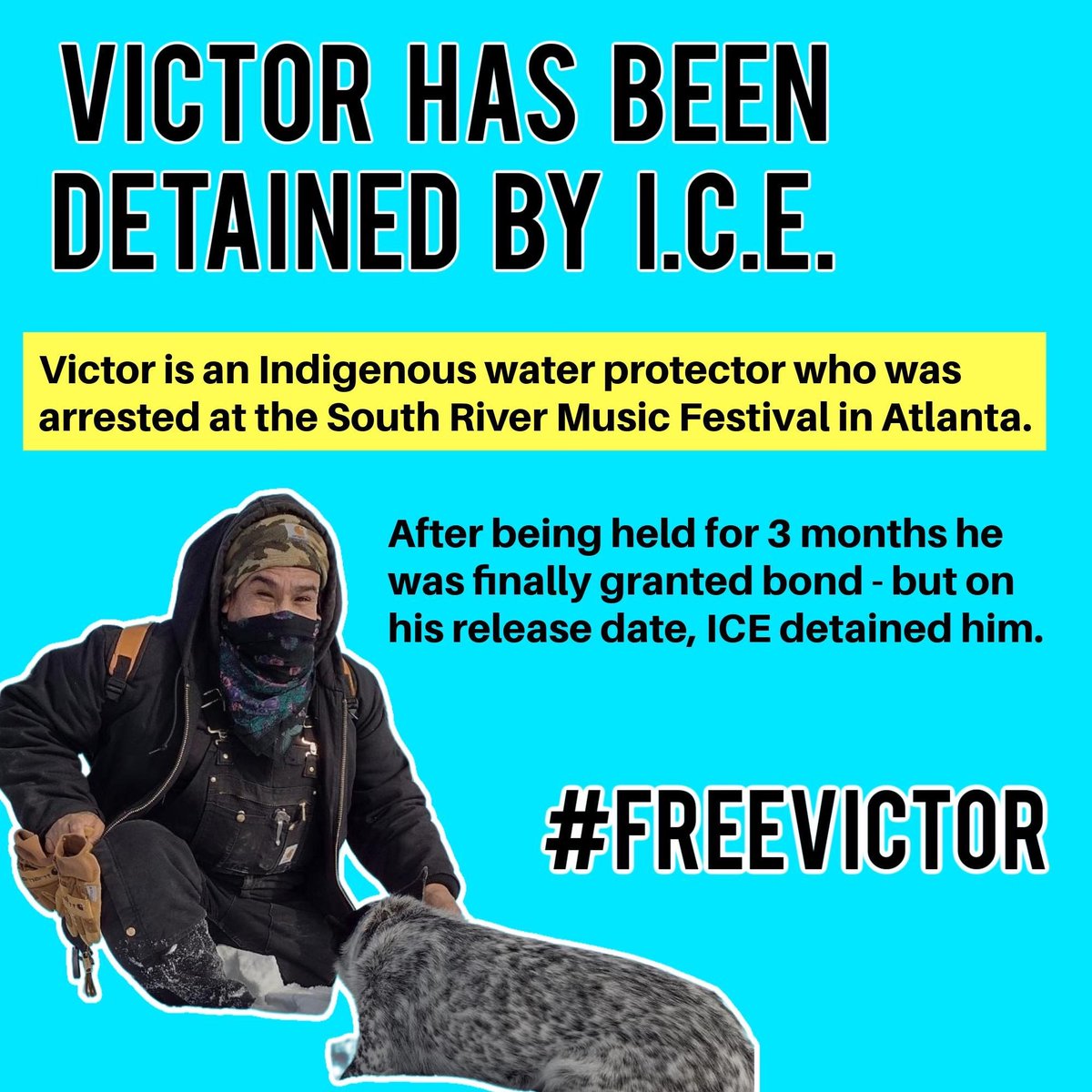 National Lawyers Guild tweet media