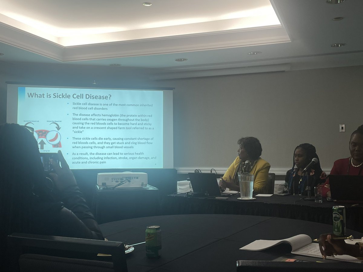 CACHC_ACCSC's tweet photo. Great hearing how our members @BlackCreekCHC partnered with @SCAGOSCD to deliver care to those living with Sickle Cell Disease. @AllianceON #SupportCHCs #Communities2023 https://t.co/XcJobGhuZL