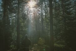 Unityuk's tweet image. I walk the path of the spiritual warrior. unityuk.org/blog/the-path-…
#divinenature #innerwork #unitycommunity