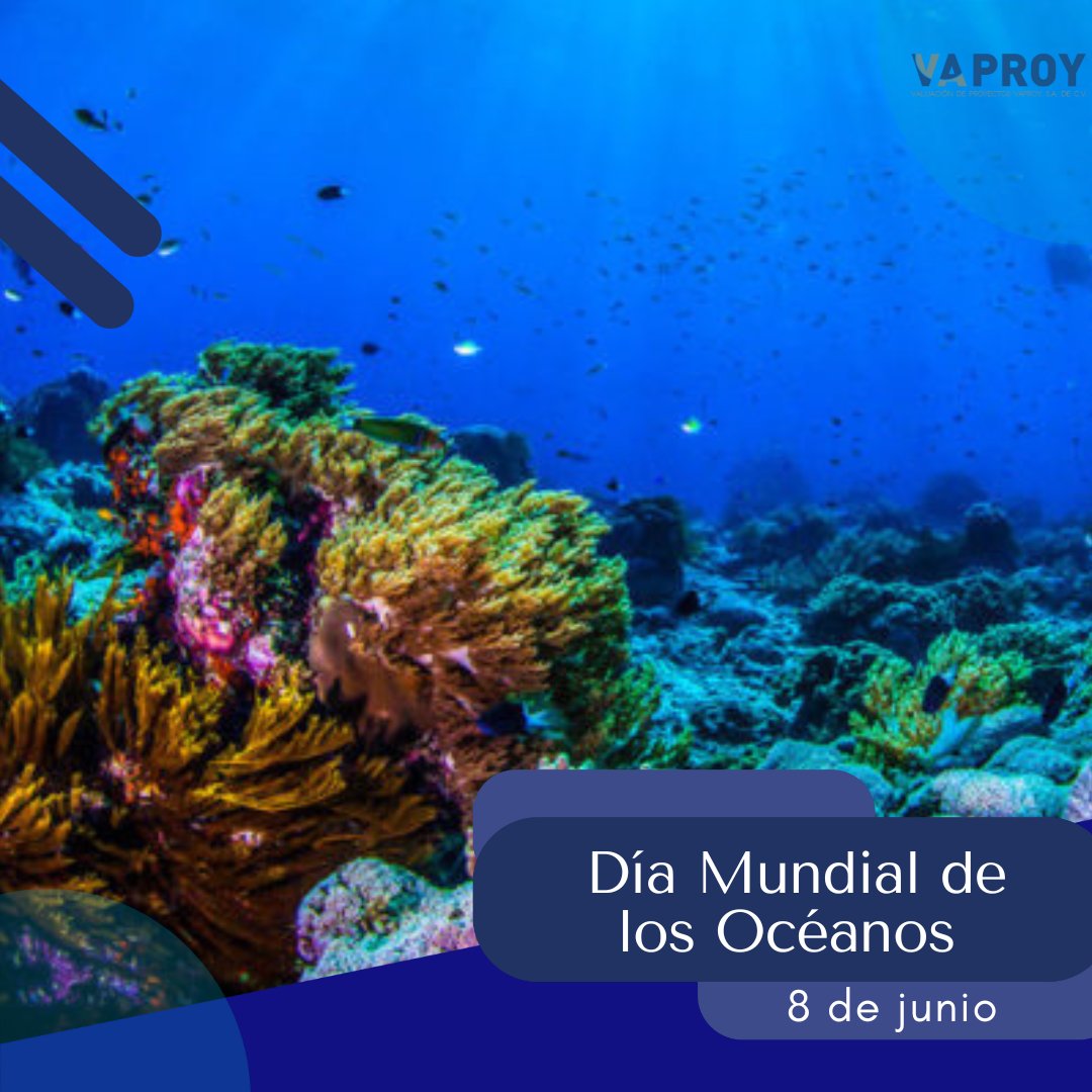 vaproy_'s tweet photo. El #DíaMundialdelosOcéanos 🌊 nos recuerda que son los pulmones de nuestro planeta, que nos brindan  una fuente importante de alimentos y medicinas y una parte fundamental de la biosfera. https://t.co/bVrzpo1cRz