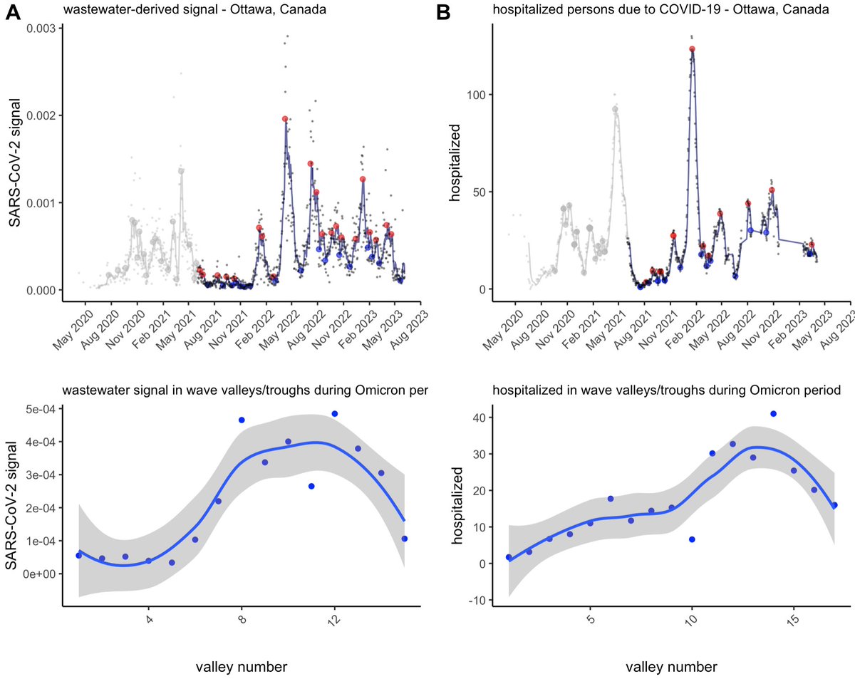 The tide has finally receded in #Ottawa. Lower plots show the ww signal or COVIS-19 hospitalization counts at the bottom of each wave (blue dots in upper plots) is back down to pre-omicron levels.