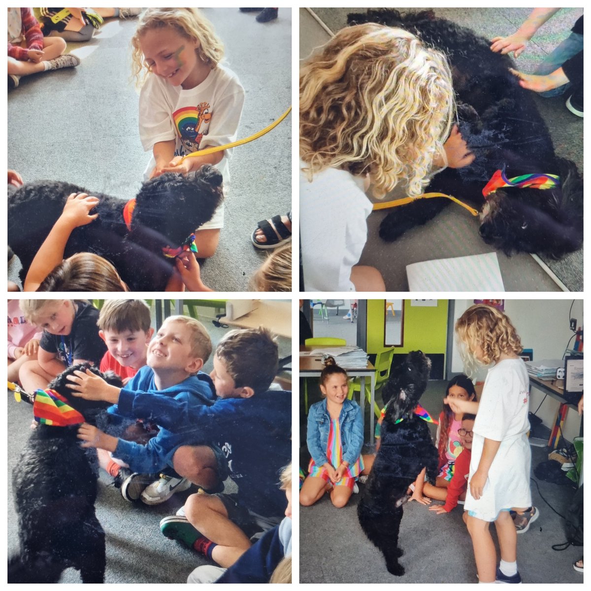 Am ddiwrnod ffantastig yn dathlu Diwrnod yr Enfys! Diolch i Nico am ymweld, ac i chi am eich cyfraniadau! ~ What a fantastic day celebrating Rainbow Day to support @noahsarkcharity. Huge thanks to Nico for visiting and for everyone's contributions!