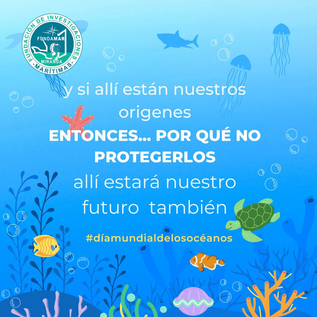 FundamarMiranda's tweet photo. #fundamarmiranda
¿Por qué se celebra el Día Mundial de los Océanos el 8 de junio?
https://t.co/c4LG7ATN1f https://t.co/pWRt29Czhj