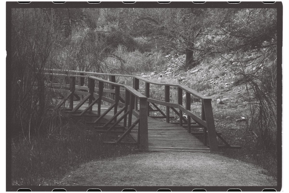 "Pathways" - in the depths of a monochromatic frame, shadows intertwine, casting enigmatic pathways into the uncharted territories of the mind, beckoning the curious souls to embrace the allure of the unknown.

#1of1 for 2 $XTZ  on <a href="/objktcom/">objkt</a> (link in thread)

#tezos