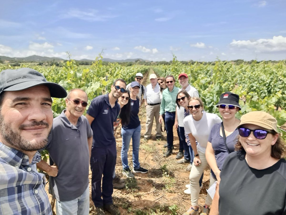 monica_kehoe's tweet photo. Visited some Xylella sites on Mallorca today, lots of grapevine. Learning so much being here in person, great people and science, thanks for sharing it with us  @blancaracol @janavascortes @SEFitopatologia and the team at @AgriculturaGOIB for showing us around the island! https://t.co/gpI6Mlwcw5