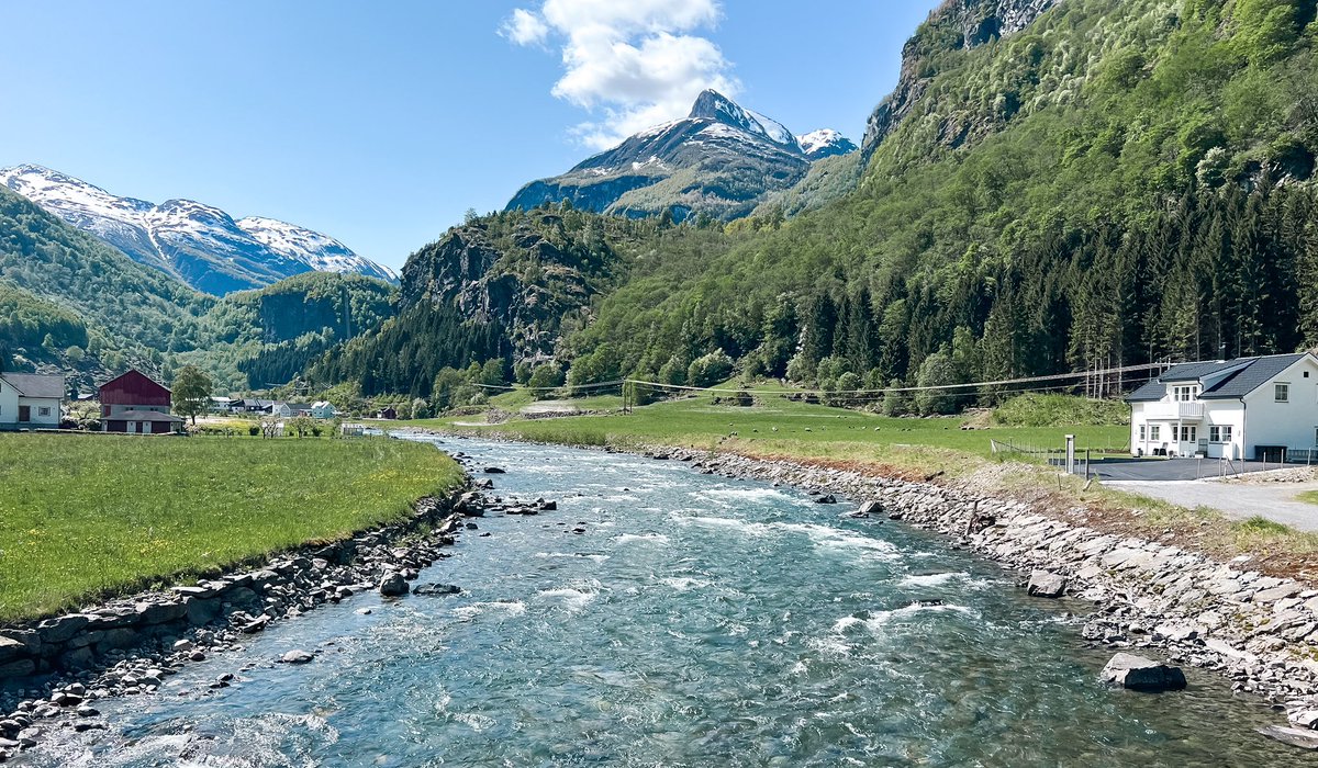 Martin Cabble-Reid | Upgrade Your Day tweet media