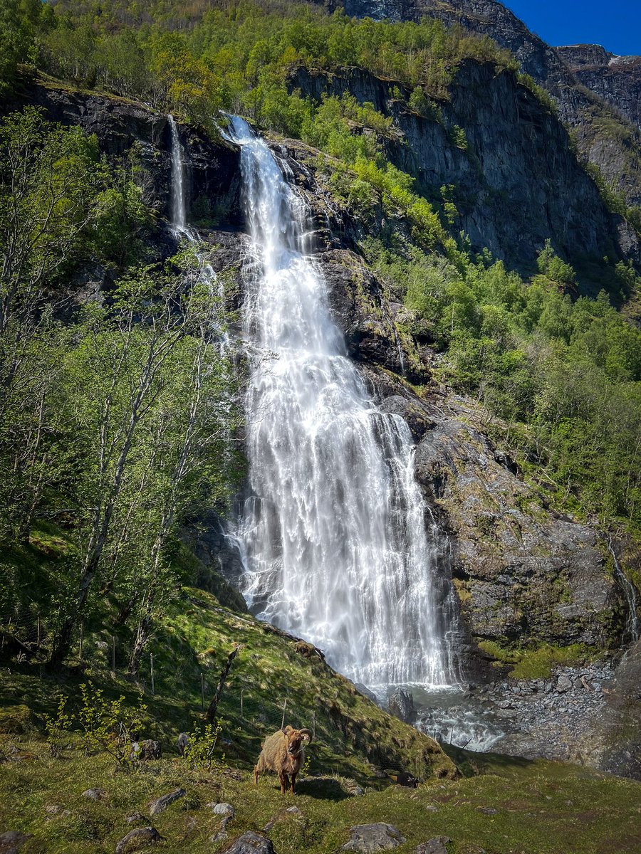 Martin Cabble-Reid | Upgrade Your Day tweet media