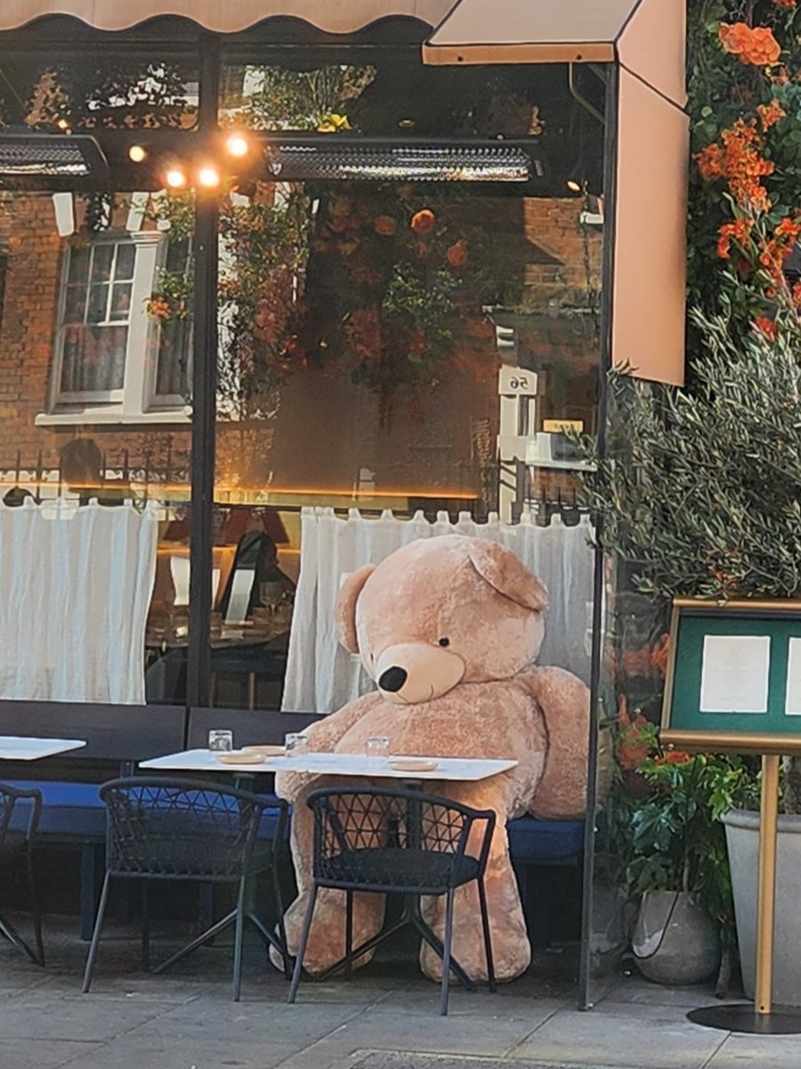 MartinSLewis's tweet image. Looks like someone has had an afternoon on the bears...