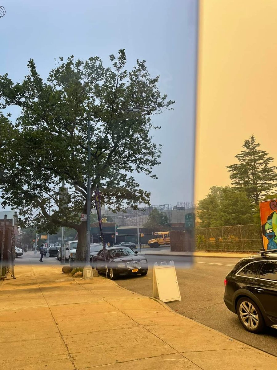 people in NYC be like:

just need a Tiffen 82A filter