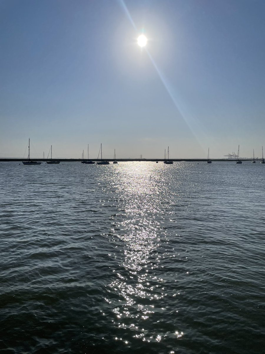 It’s a gorgeous evening for a cruise! We’ve seen Sandwich, Common and Little Terns fishing before we’ve even left the harbour 👏☀️⛴️
#WorldOceanDay #jetstream #birdwise @JetstreamTours