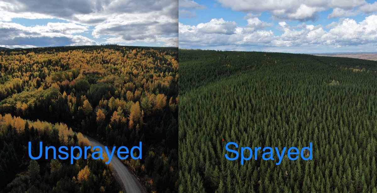 StopthesprayBC tweet media