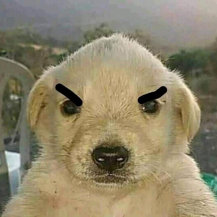 plazamahou's tweet photo. Cuando el camarero se va a llevar mi caña pero aún queda un culín de cerveza https://t.co/tS9OjM9mD4