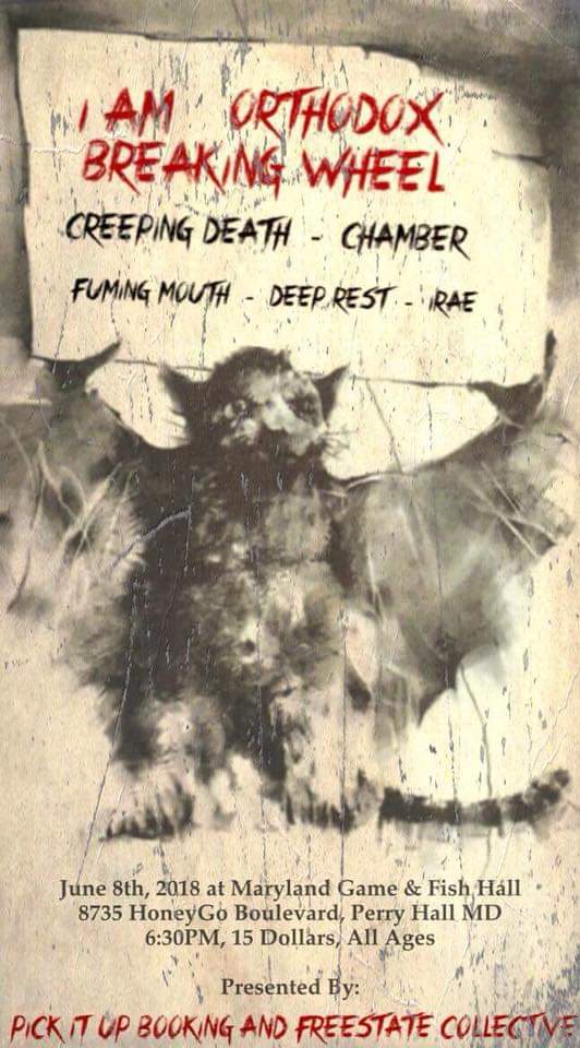 business casual hate mosh dit lafleur tweet media