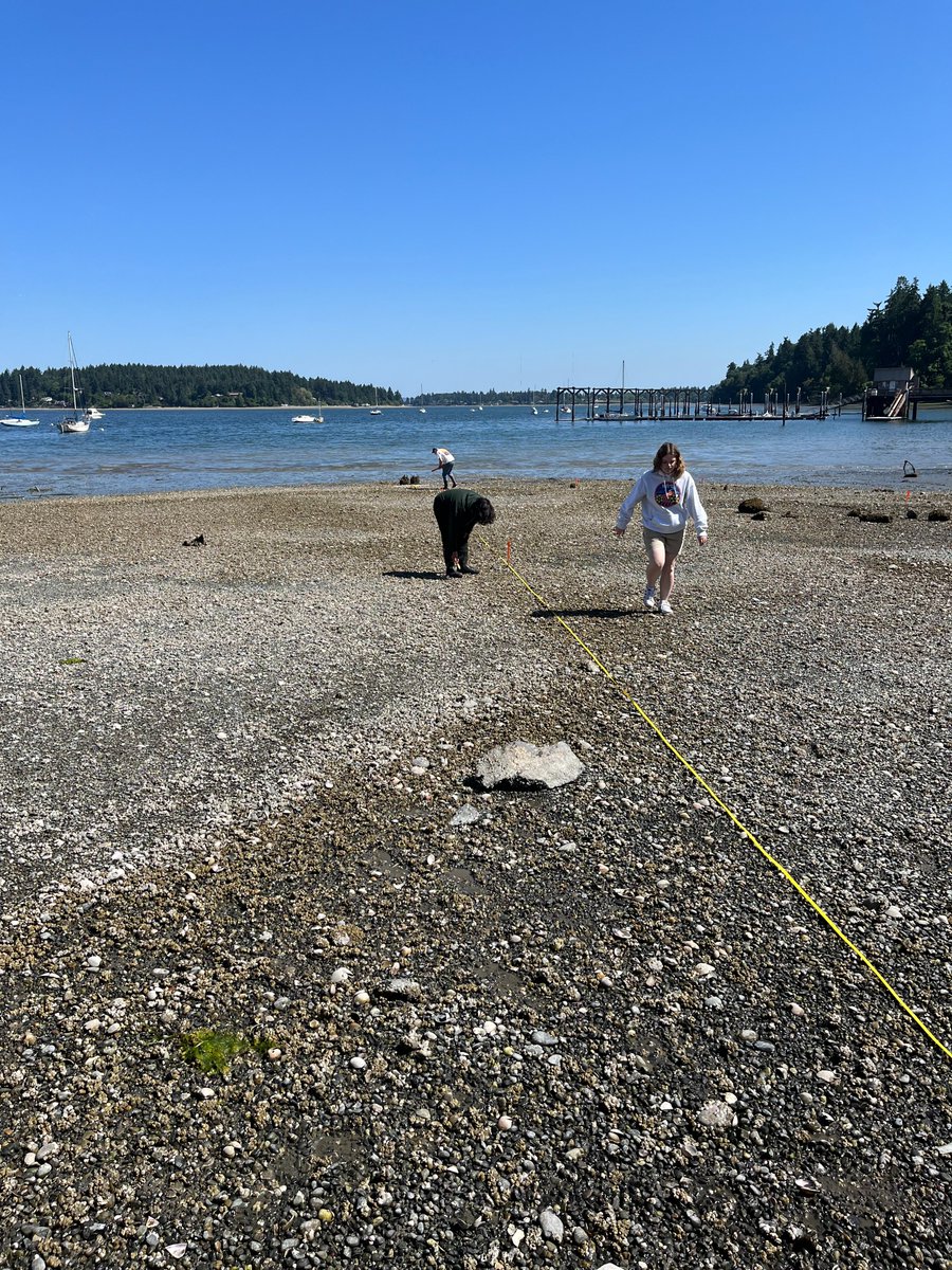 Chemistry students are studying Ocean Acidification and the effects it has on clams and calcium carbonate building marine life.
They dug clams, learned how to identify different species and learned what was legal and sub-legal to harvest.
#FutureBiologists #CreatingOpportunities