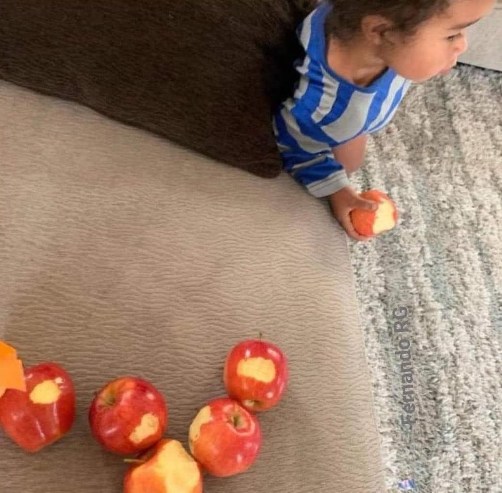 Así tengo las series de Netflix: