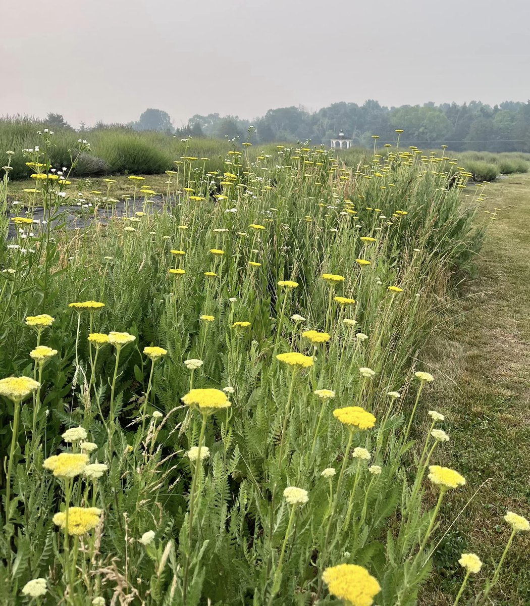 FCPS1jobs tweet media