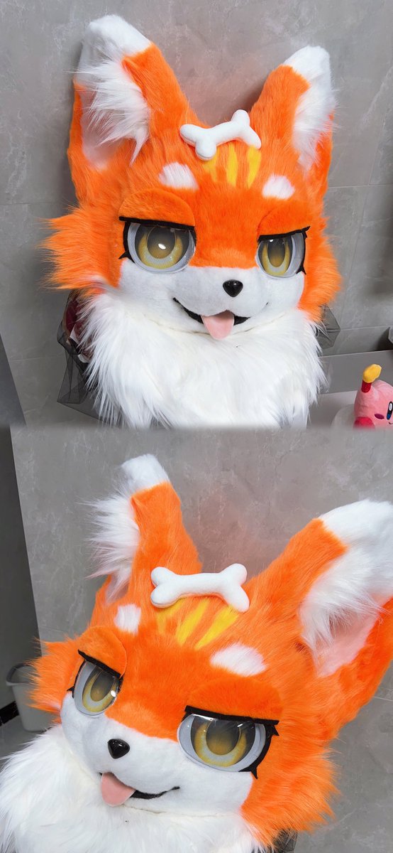 An orange-white fox is very cute, right?😋 #fursuit #fursuitforsale #fursuitmaker #fursuithead #fursuitcommission #fursuits #fursuiter #fursuiting #furry #furrvfriends #furryfandom #furrvartwork
#furryart #cutefursuit #cutefurry #kemonofursuitforsale #kemonofursuit #kemono