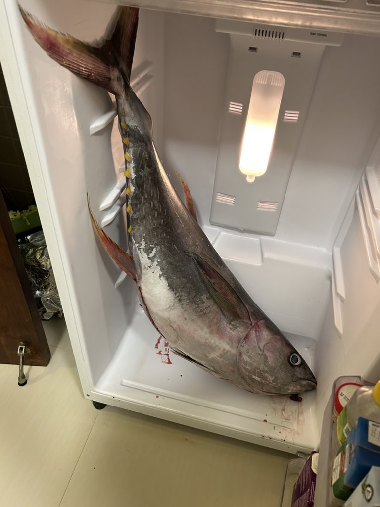 More aand is dit ek en jy!